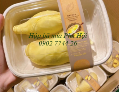 Hộp bã mía 1 ngăn to nắp nhựa PET 850ml